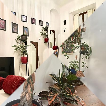 La Stanza Della Giungla Daire Milano Dış mekan fotoğraf